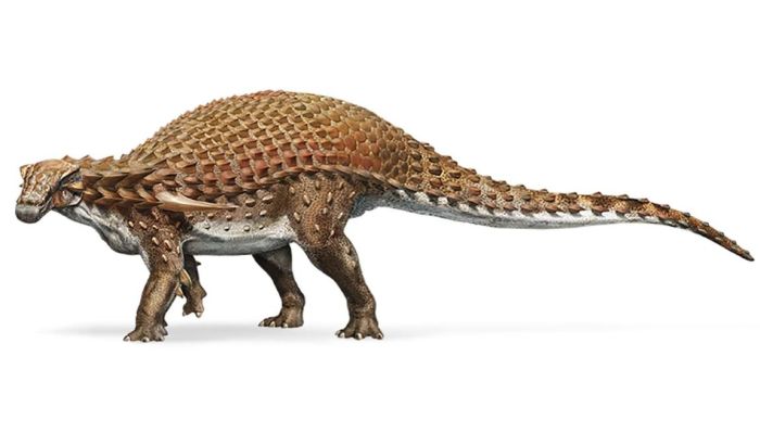 FOTO: Izložen veoma redak i veoma očuvan fosil dinosaurusa FOTO: Izložen veoma redak i veoma očuvan fosil dinosaurusa