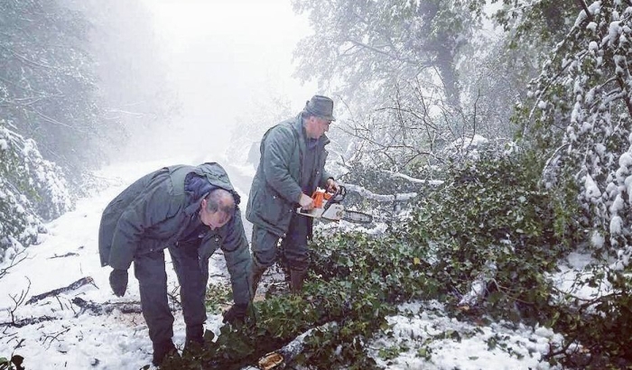 FOTO: Sneg obarao drveće na Fruškoj gori FOTO: Sneg obarao drveće na Fruškoj gori