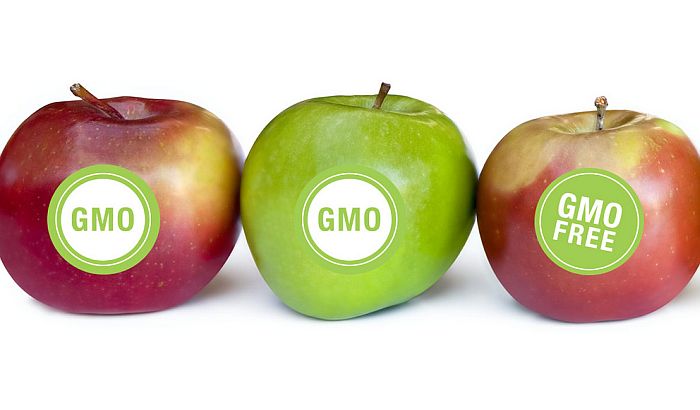 ГМО услов за затварање поглавља 30