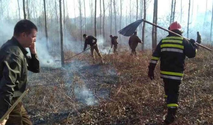 Namerno izazvao požar na Fruškoj gori Namerno izazvao požar na Fruškoj gori