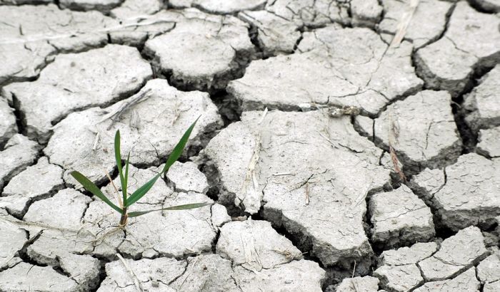 Zbog klimatskih promena sve veći broj zaraznih i drugih bolesti Zbog klimatskih promena sve veći broj zaraznih i drugih bolesti