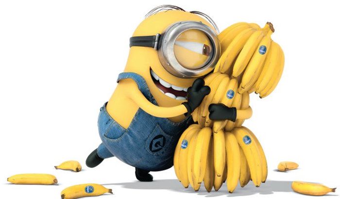 Banane kakve znamo bi uskoro mogle da nestanu Banane kakve znamo bi uskoro mogle da nestanu