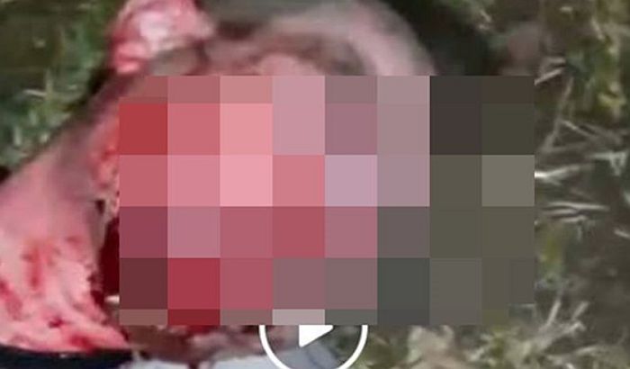 Preminuo mladić čije su mučenje prenosili uživo na Fejsbuku Preminuo mladić čije su mučenje prenosili uživo na Fejsbuku