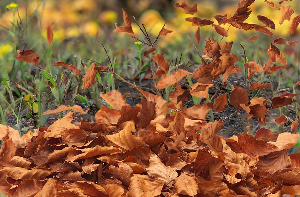 Još sutra tmurno i mokro, pa košava i osetno toplije 