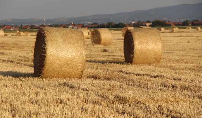 Izgradnja industrije i infrastrukture nauštrb plodnog zemljišta