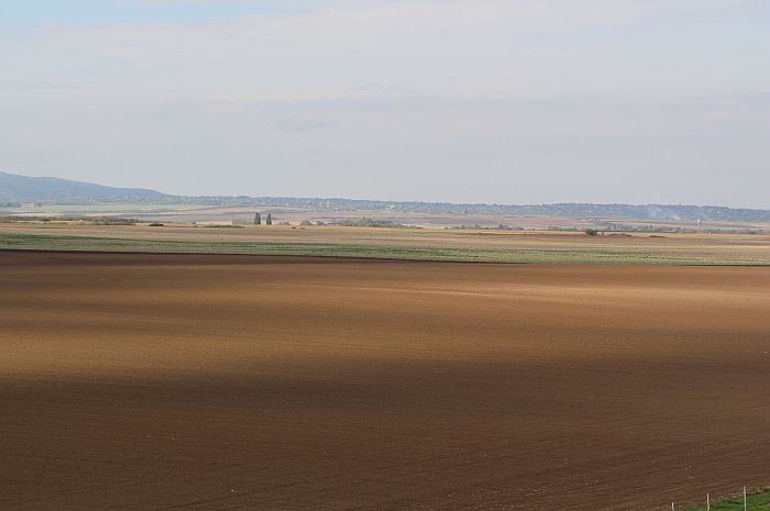 Radnici PKB telima brane rasprodaju preostalog zemljišta