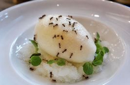 Vlasnik cenjenog restorana koristio mrave u desertima zbog čega bi mogao da završi u zatvoru