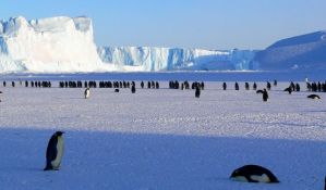 Na Antarktiku izmereno rekordnih 18,3 stepena