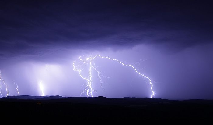 Grom ubio četiri gorile ugrožene vrste