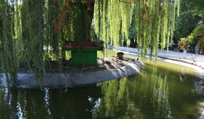 FOTO: Dunavski je park je nekada bio rukavac velike reke, a sedenje u njemu se naplaćivalo