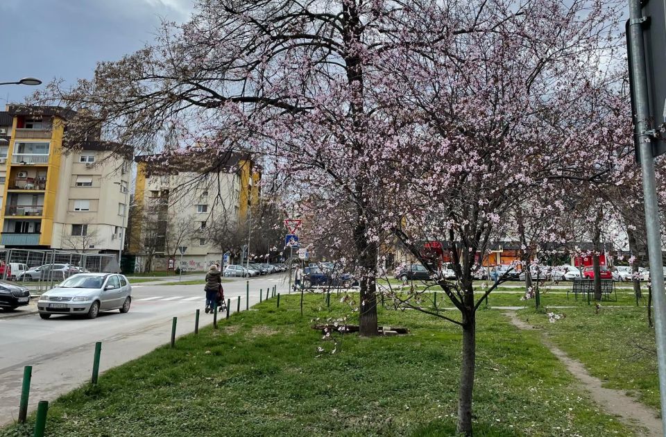 Stanarka ulice na Limanu 1: Asfalt posle radova oštećen, nema parkinga, blato i neprimereni grafiti