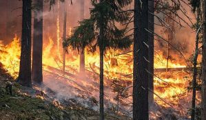 Požar na Suvoj planini, sela za sada nisu ugrožena 