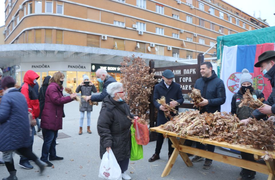 FOTO, VIDEO: Novosađanima podeljeni besplatni badnjaci sa Fruške gore 