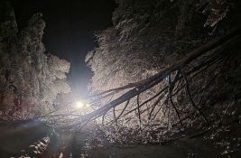 Mesarović: Stabla sa privatnih poseda padaju na dalekovode, građani da puste državu da radi svoj posao