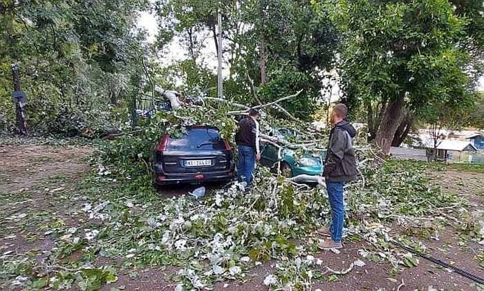 FOTO: Topola pala na automobile na Ribarskom ostrvu