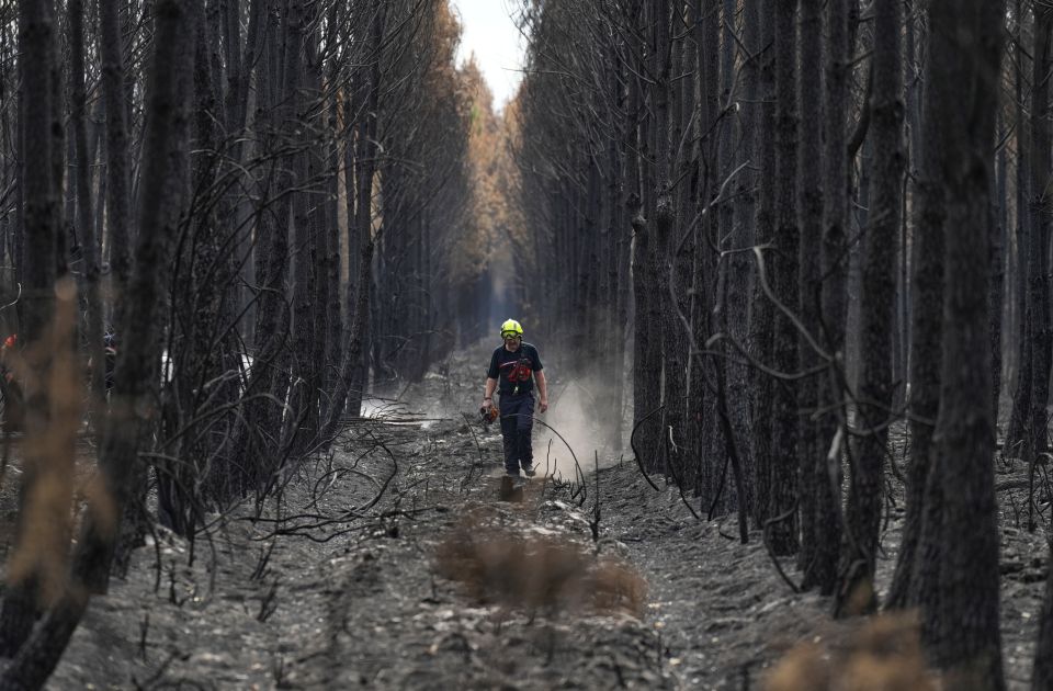 U Francuskoj privedeno 375 osoba povezanih sa izbijanjem požara