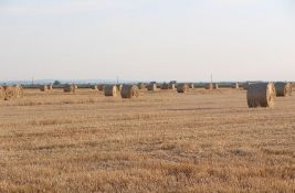 Fiskalni savet: Poljoprivreda Srbije 15 godina stagnira