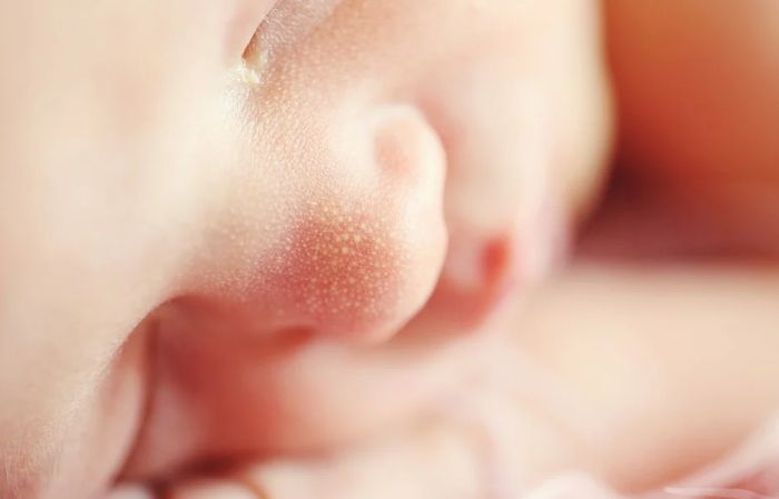 Istraživanje otkrilo u koje doba dana se bebe najčešće rađaju
