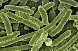 Pronađene bakterije u hrani zbog koje se deset ljudi otrovalo