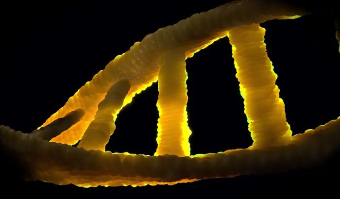 DNK određuje da li je neko noćni ili jutarnji tip