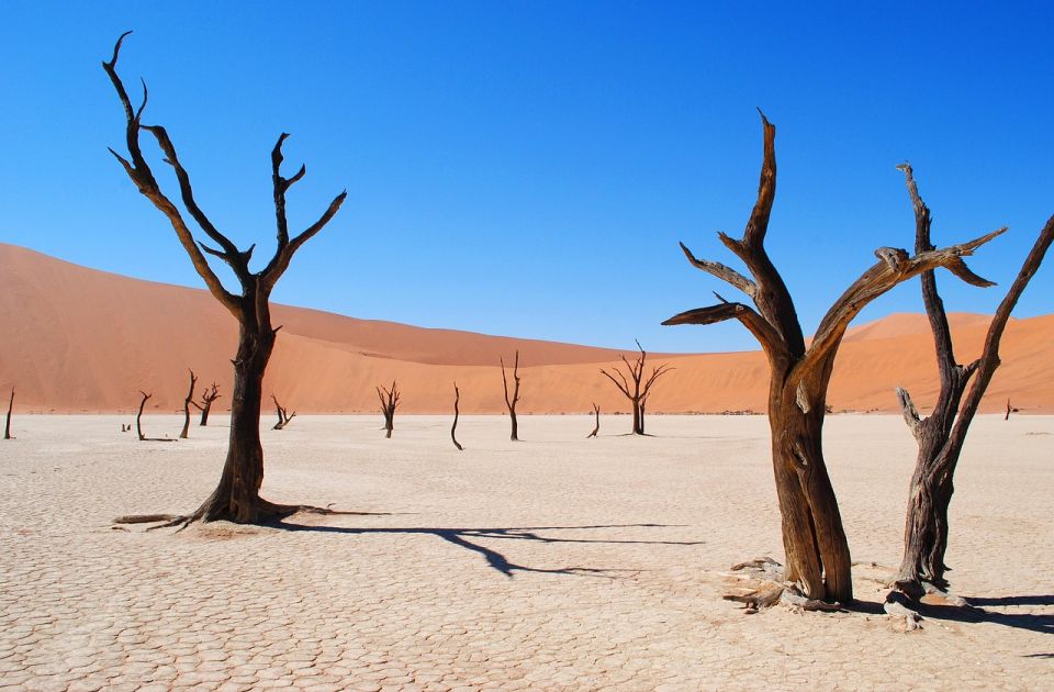 Više od 3.500 životinjskih vrsta ugroženo klimatskim promenama, pokazala naučna studija Više od 3.500 životinjskih vrsta ugroženo klimatskim promenama, pokazala naučna studija