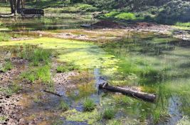 Ponovo raspisan tender za istraživanje klizišta kod Kameničkog parka: Godinu dana posle obustave prethodnog