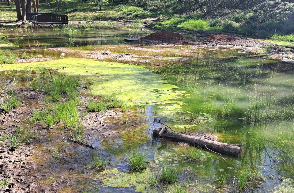 Ponovo raspisan tender za istraživanje klizišta kod Kameničkog parka: Godinu dana posle obustave prethodnog
