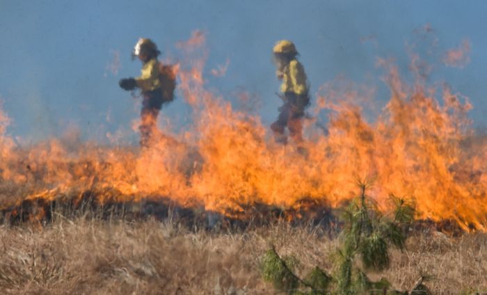 Požari širom Rusije, uništeno 187.000 hektara šuma