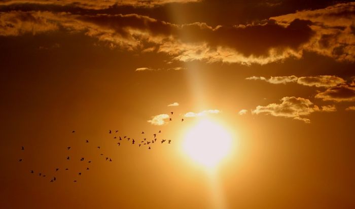 Još jedna sunčana nedelja pred nama, temperature oko 30 stepeni Još jedna sunčana nedelja pred nama, temperature oko 30 stepeni