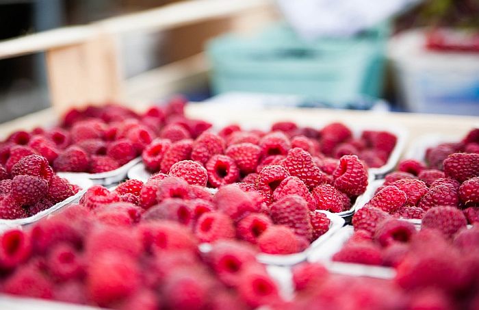 Utvrđena cena proizvodne maline u Srbiji