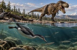Neke ptice su preživele asteroid koji je zbrisao dinosauruse - zašto?