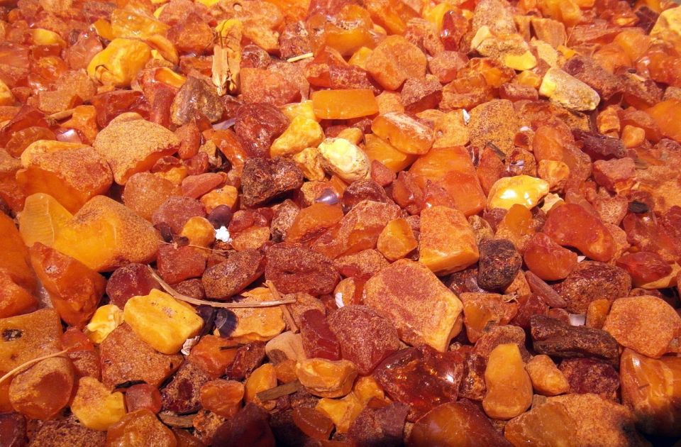 Kaljiningrad: Pronađen jedinstveni ćilibar star između 30 i 50 miliona godina