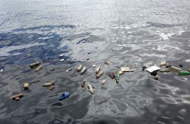 Sitne morske životinje zbog plastičnog otpada gube volju za seksom