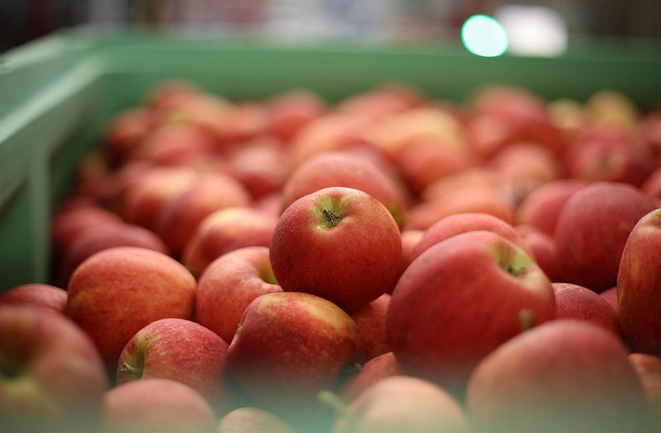 Profesor Poljoprivrednog fakulteta u Novom Sadu: Ovo je voće koje bi Srbija mogla da izvozi u Kinu
