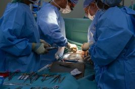 Rusi planiraju da do 2030. uzgoje genetski modifikovane svinje za doniranje organa ljudima