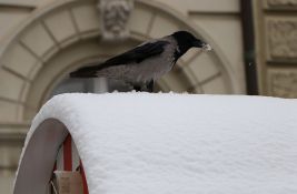 Danas u Novom Sadu malo vedrije i malo toplije