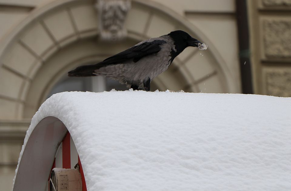Danas u Novom Sadu malo vedrije i malo toplije