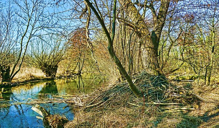 Banke u Srbiji podstiču projekte hidro-centrala koji uništavaju reke