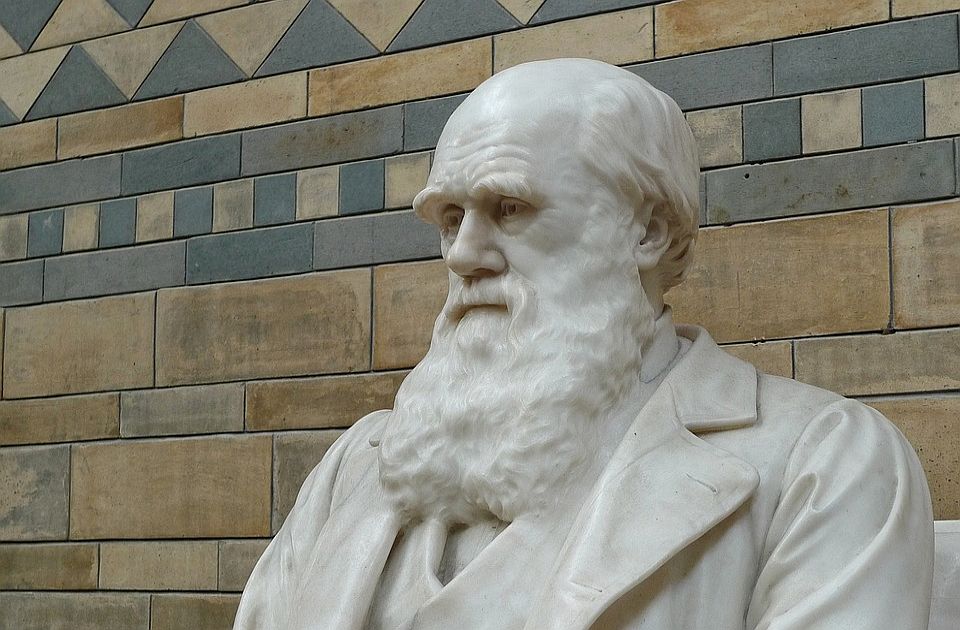 Otkrivena Darvinova ogromna lična biblioteka, dostupna je besplatno onlajn