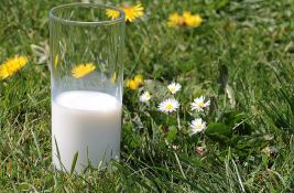 Uredba Vlade o ograničenju cene mleka - 