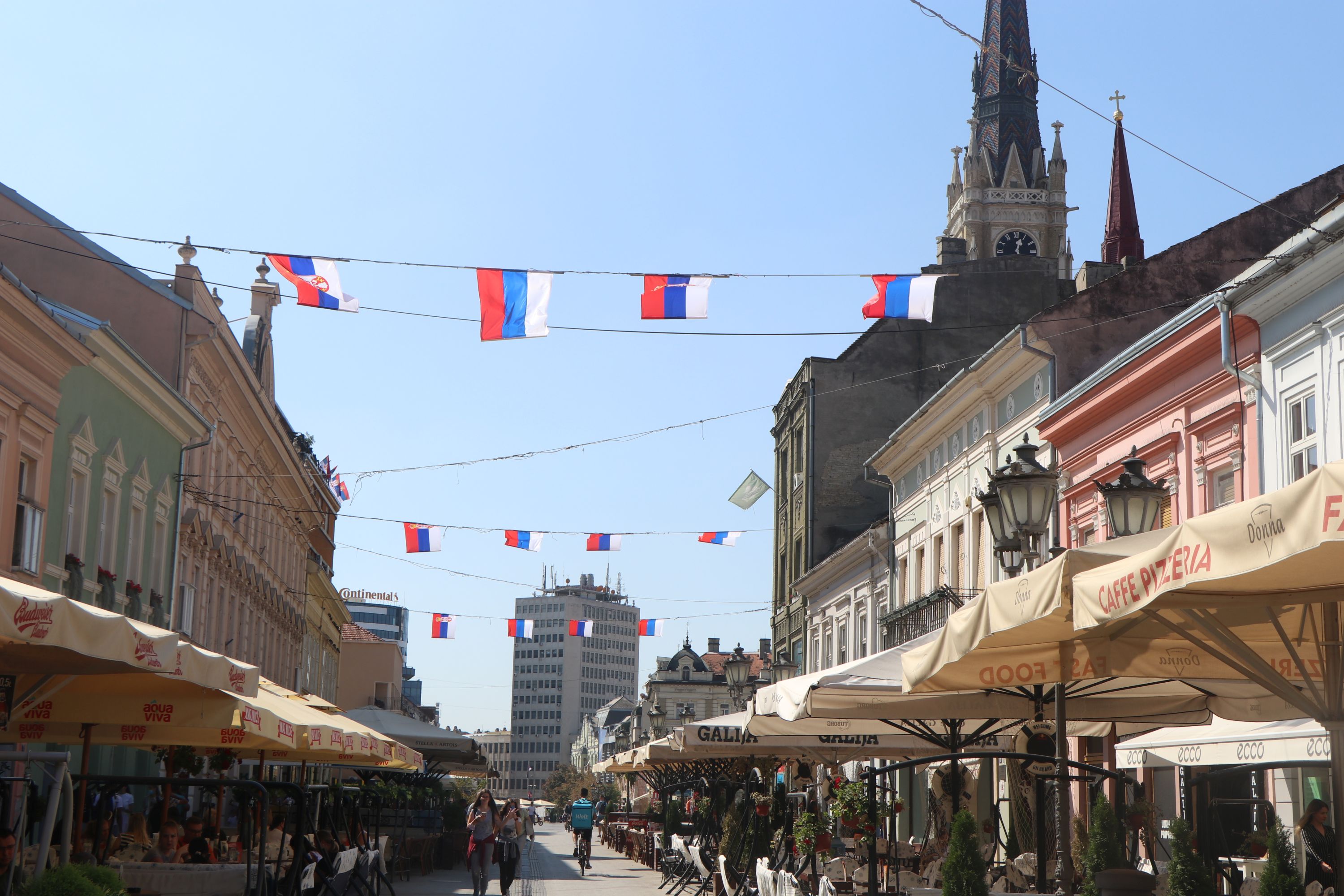 OTKRIVAMO Ovaj tekst će se čitati deci za Dan zastave: Precima srpska trobojka bila preča od života