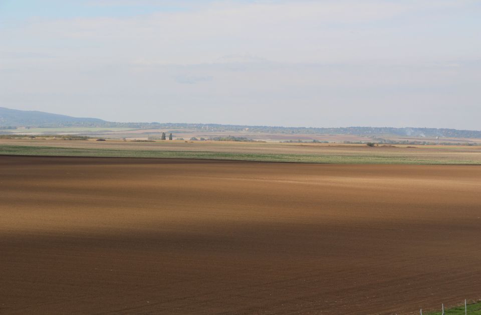 Hektar njive u Srbiji skuplji 4.000 evra nego u 2021. godini