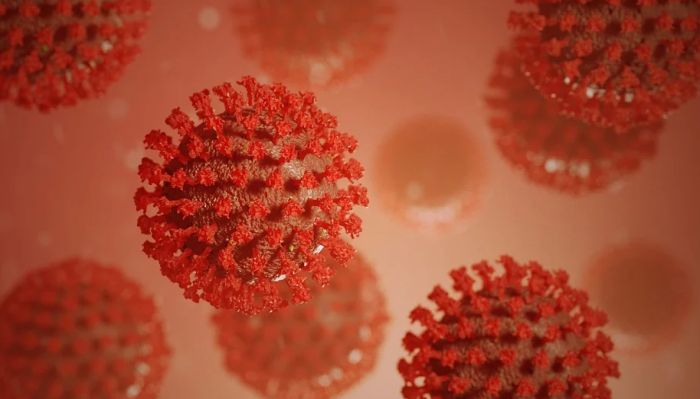 Naučnici: Čestice korona virusa mogu da prežive od dva do šest sati