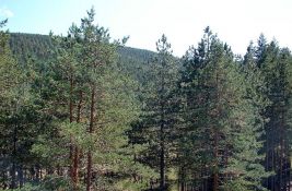 Zlatibor i dalje najposećenija planinska destinacija u Srbiji