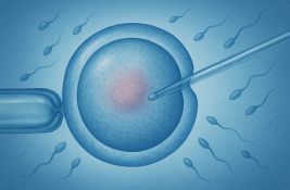 Krstić: Sporni donor iz Danske nikada nije bio u sistemu u Srbiji