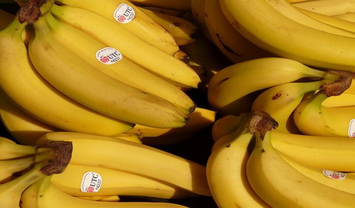 U bananama poklonjenim zatvoru u Teksasu nađen kokain