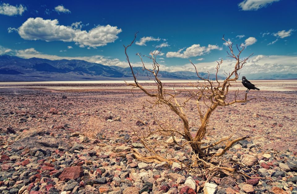 Posetioci hrle u Dolinu smrti uprkos temperaturama od preko 50 stepeni 