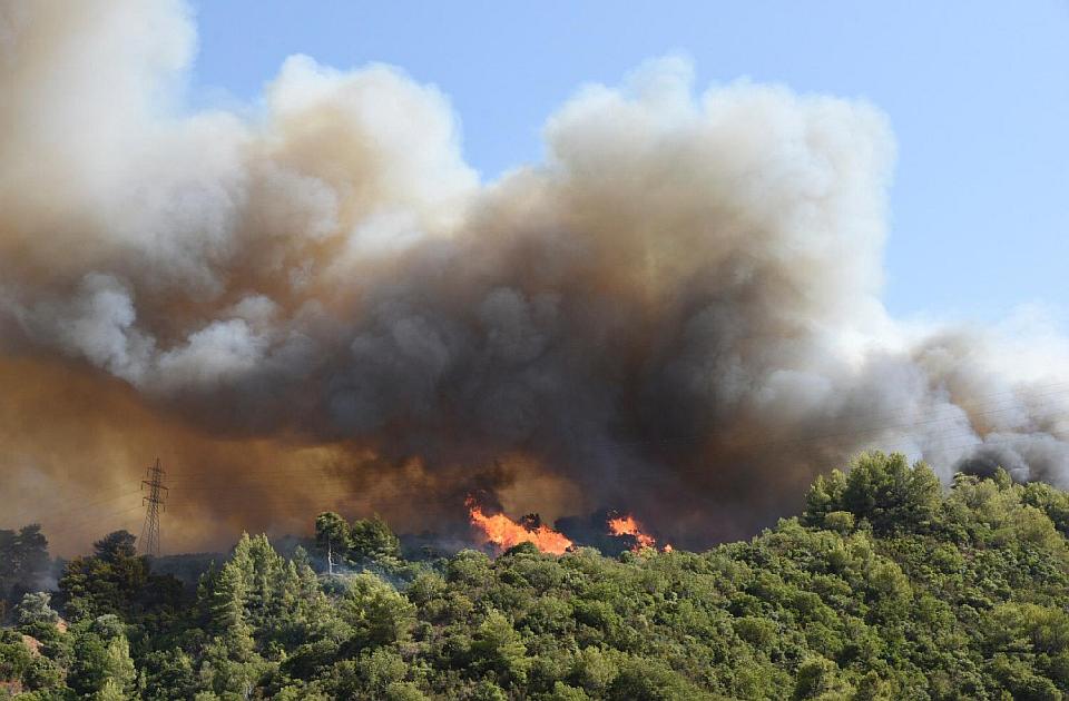 Širi se požar na Peloponezu, osmoro povređenih, izgorelo 20 kuća