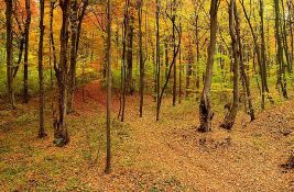 Vlada Srbije predlaže ukidanje naknade za ulaz u nacionalne parkove za vozila žitelja okolnih mesta