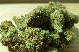 Novosađanin i Zrenjaninac uhapšeni zbog kese sa 1,6 kg marihuane